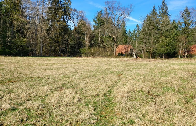 Natuurhuisje in Elspeet