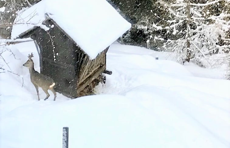 Natuurhuisje in Hochrindl