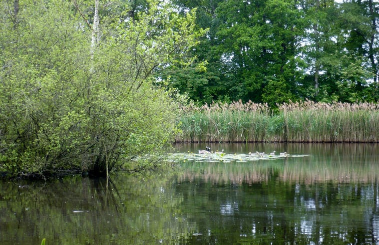 Natuurhuisje in Roden