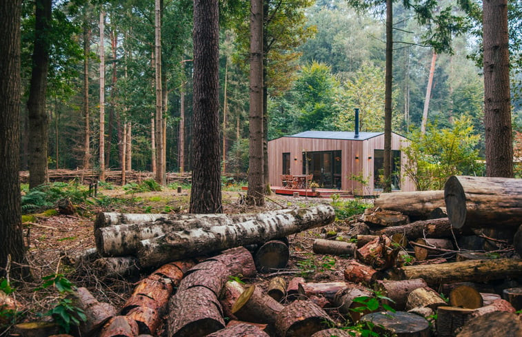 Natuurhuisje in &apos;t Harde