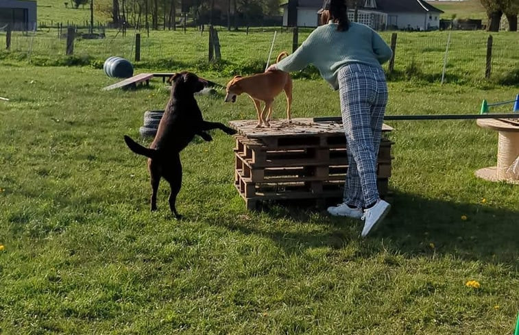 Natuurhuisje in Smeerebbe Vloerzegem