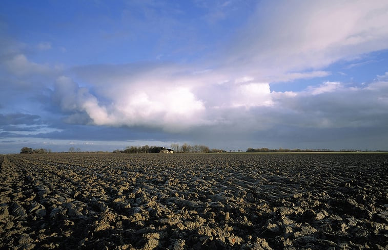 Natuurhuisje in Warfhuizen