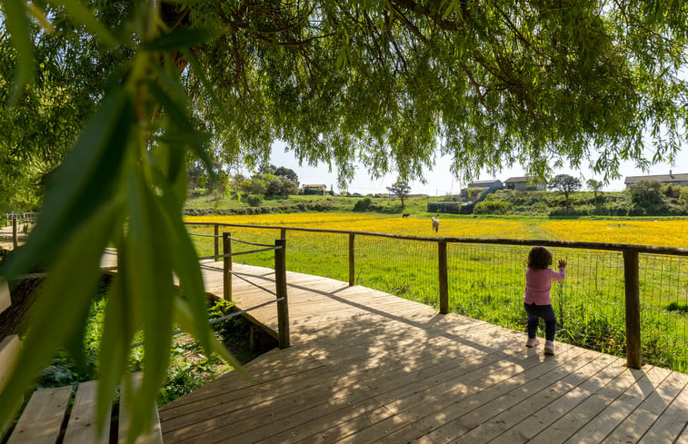 Natuurhuisje in Valadares, Vila Nova de Gaia