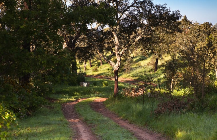 Natuurhuisje in São Luis