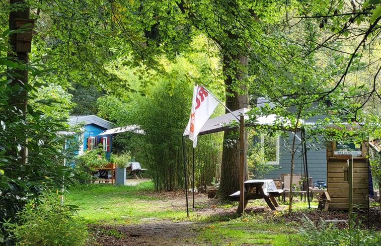 Natuurhuisje in IJhorst