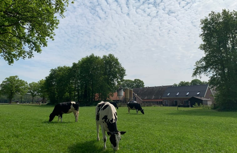 Natuurhuisje in Frederiksoord