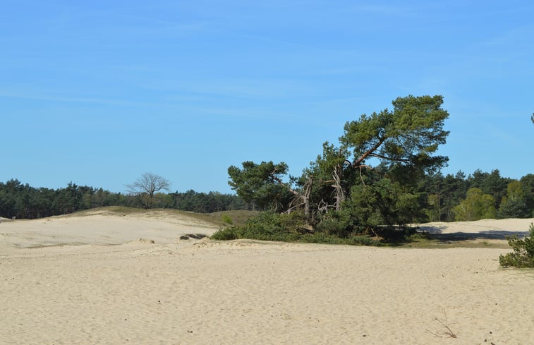 Natuurhuisje in Bennekom