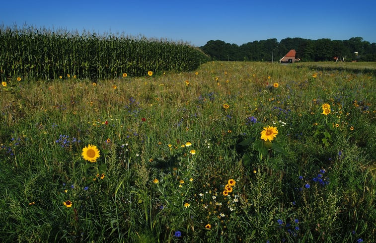 Natuurhuisje in Beckum, Hengelo OV