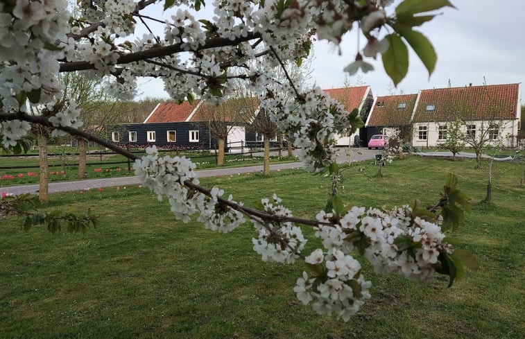 Natuurhuisje in Noordgouwe