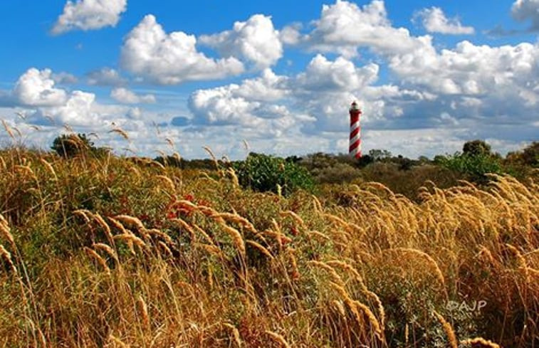 Natuurhuisje in Nieuw-Haamstede