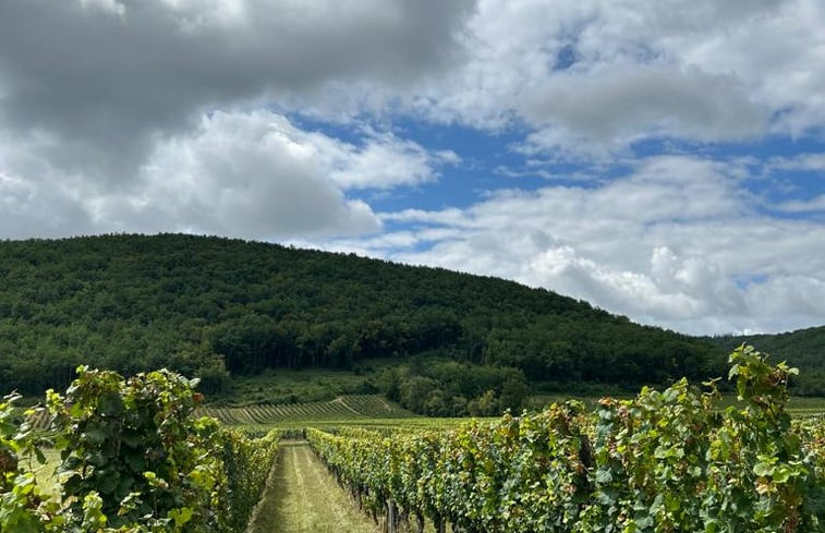 Natuurhuisje in Campagnac Les Quercy