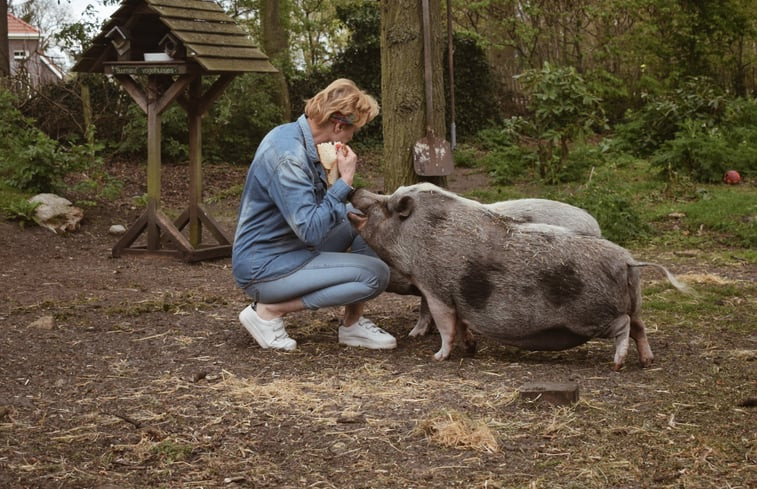 Natuurhuisje in Vlagtwedde