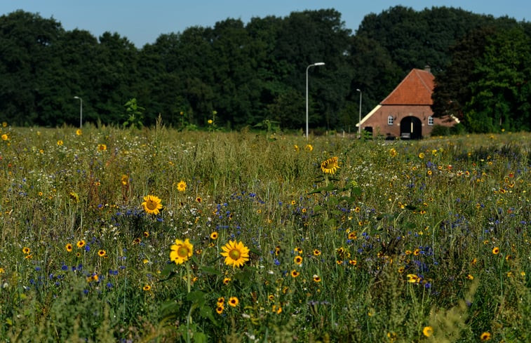 Natuurhuisje in Beckum, Hengelo OV