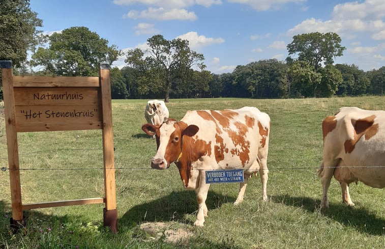 Natuurhuisje in Olst