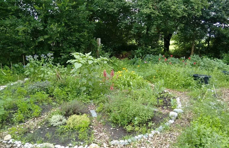 Natuurhuisje in Balkbrug