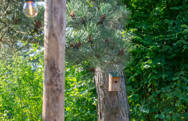 Natuurhuisje in Aalten