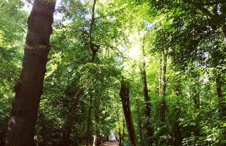 Natuurhuisje in Schoorl