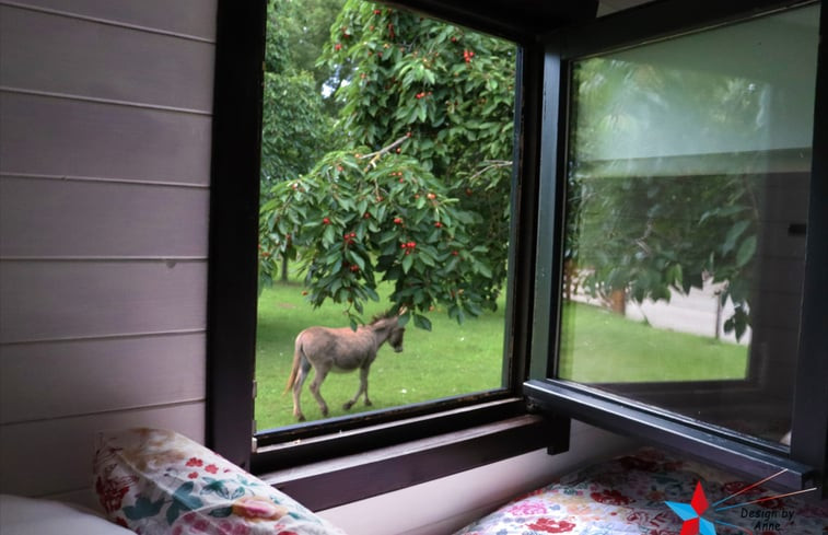 Natuurhuisje in Opheusden