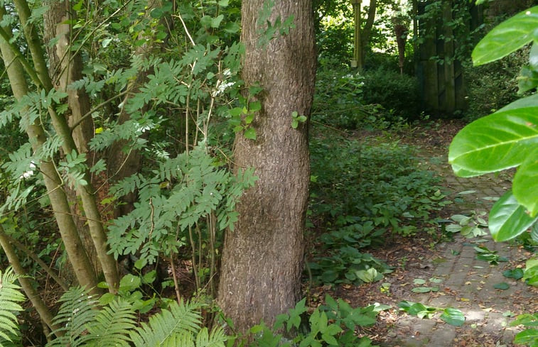 Natuurhuisje in Kollumerzwaag