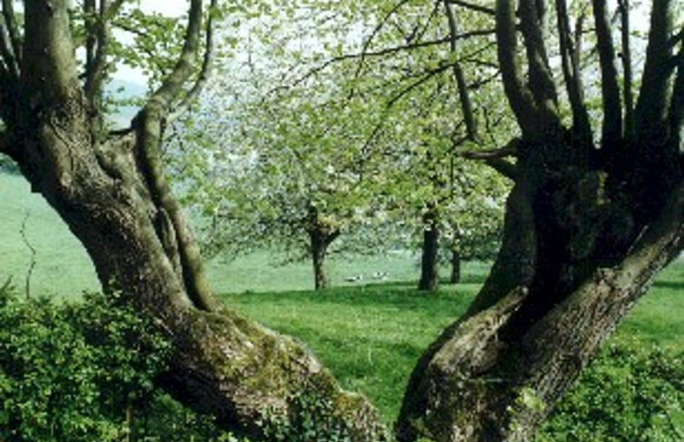 Natuurhuisje in Vijlen