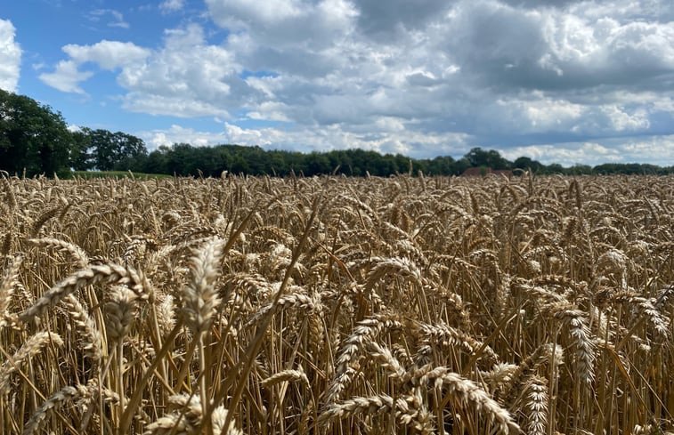 Natuurhuisje in Gorssel