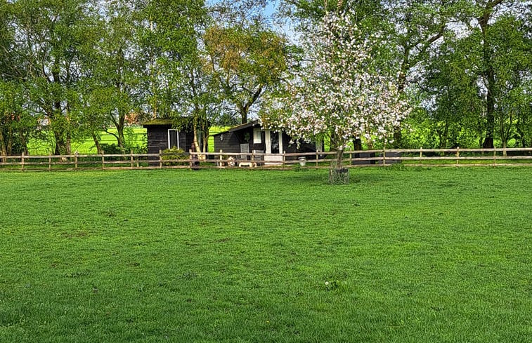 Natuurhuisje in Echtenerbrug