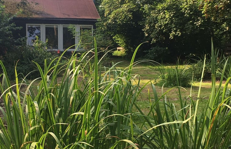 Natuurhuisje in Driewegen