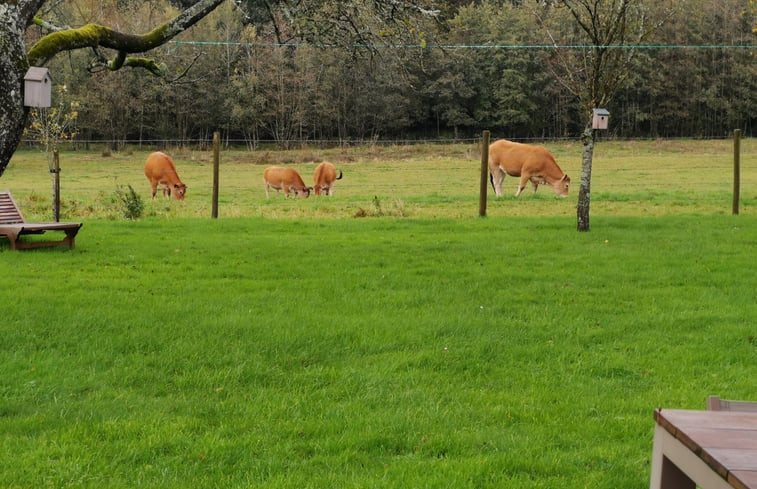 Natuurhuisje in Signy Le Petit