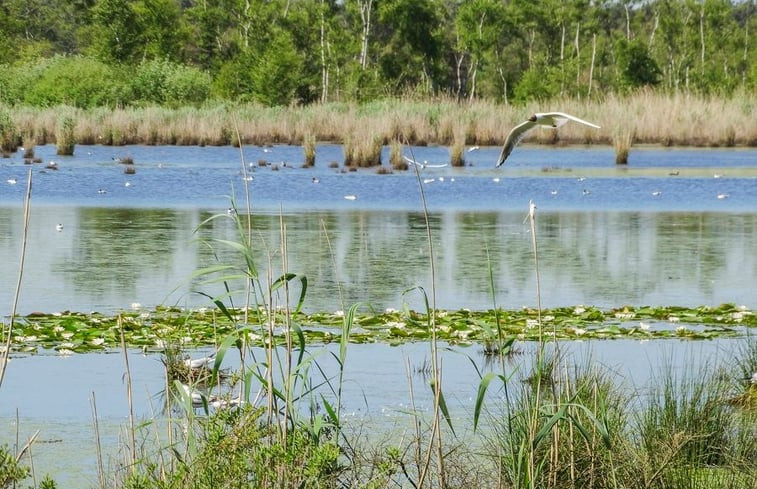 Natuurhuisje in Hapert