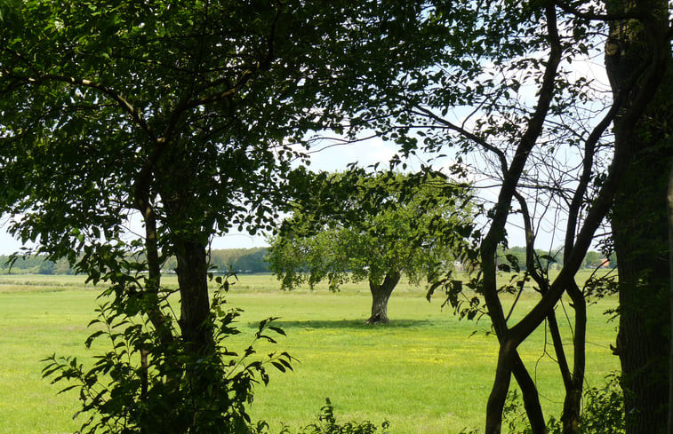 Natuurhuisje in Beerze