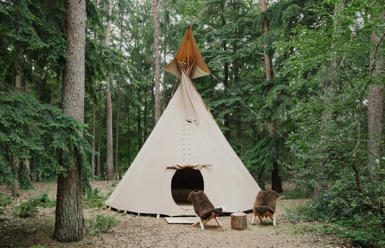 Natuurhuisje in Renkum