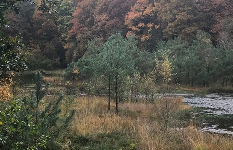 Natuurhuisje in Norg