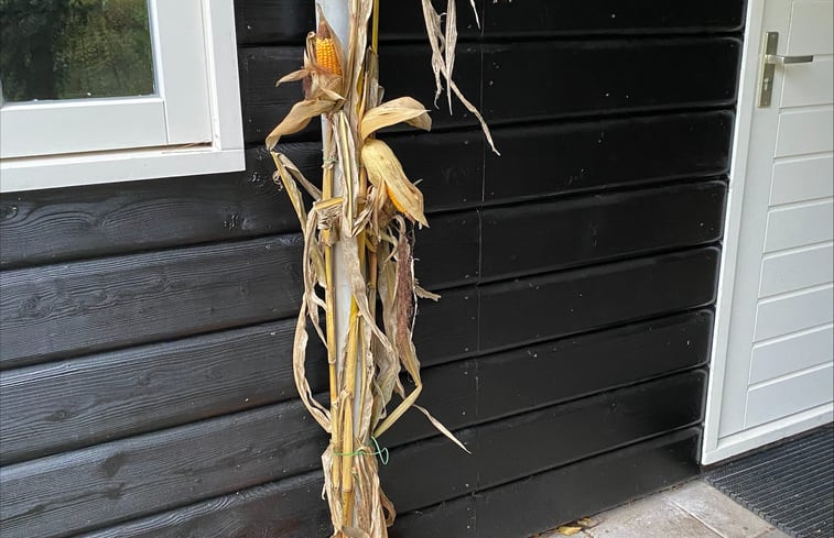 Natuurhuisje in Eefde