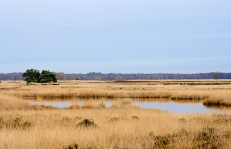 Natuurhuisje in Ansen