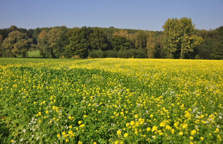 Natuurhuisje in Oignies