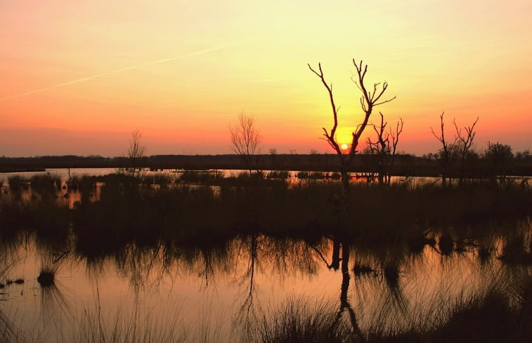 Natuurhuisje in Oosterwolde