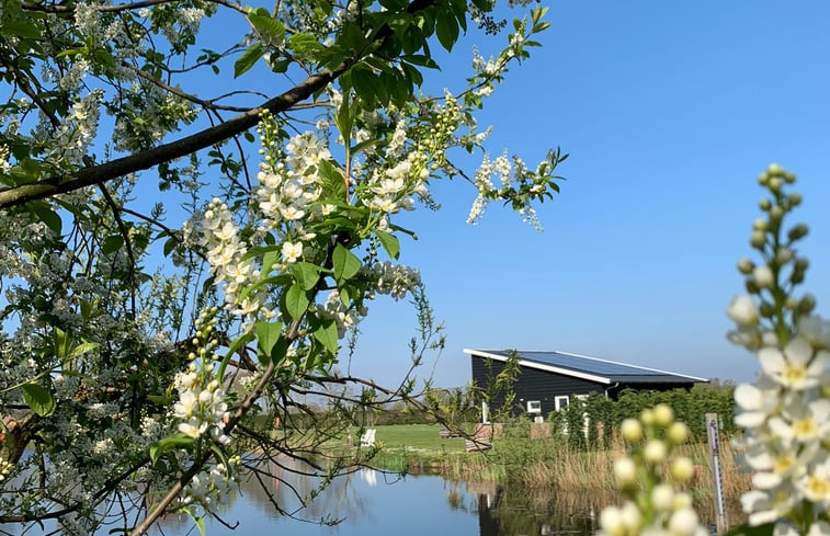 Natuurhuisje in Venhorst