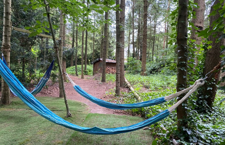 Natuurhuisje in Hattem