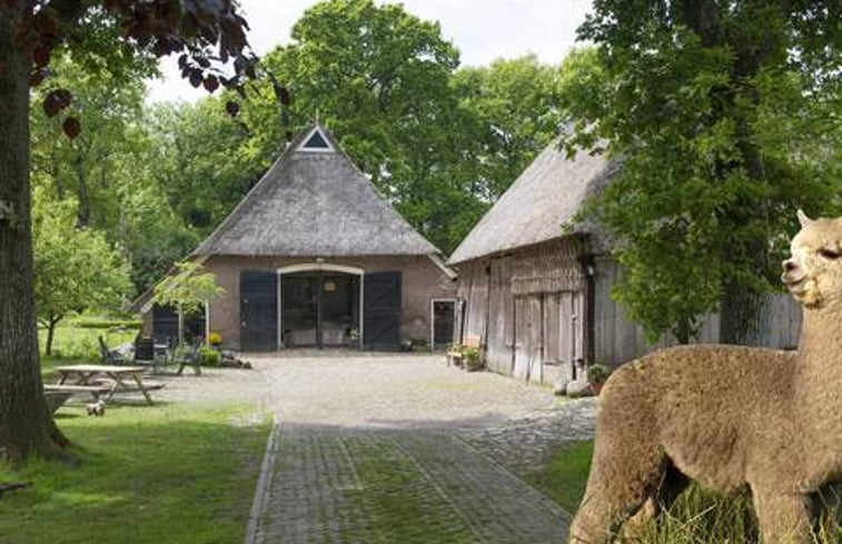 Natuurhuisje in Oosterhesselen