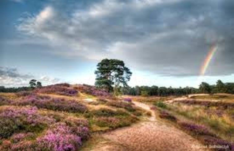 Natuurhuisje in Driebergen-Rijsenburg