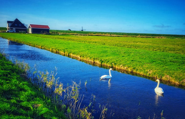 Natuurhuisje in Burgerbrug - Groet - Petten