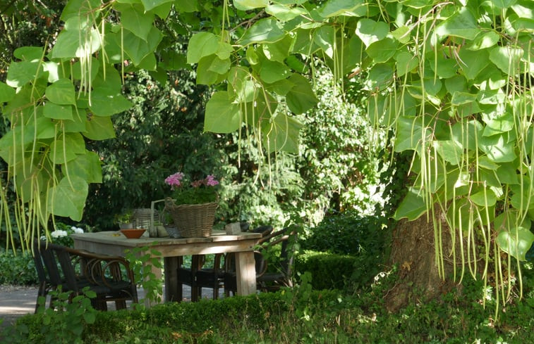 Natuurhuisje in Warnsveld