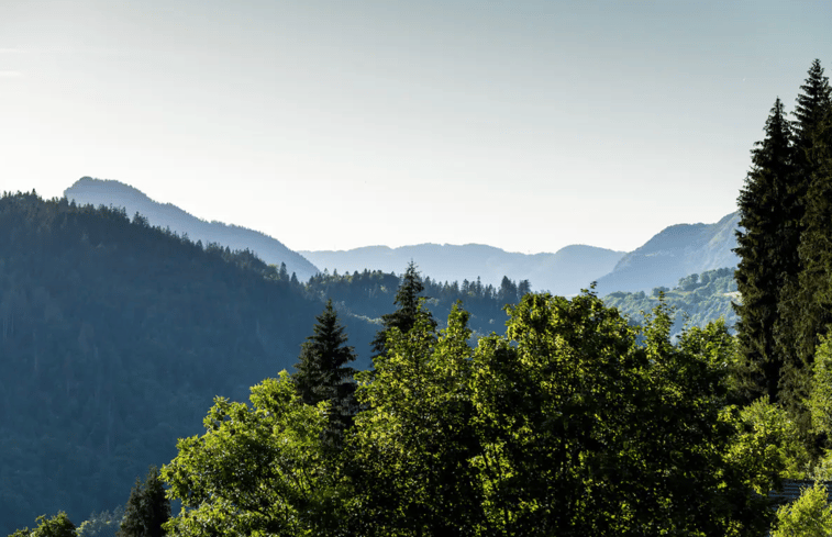 Natuurhuisje in Araches-La-Frasse