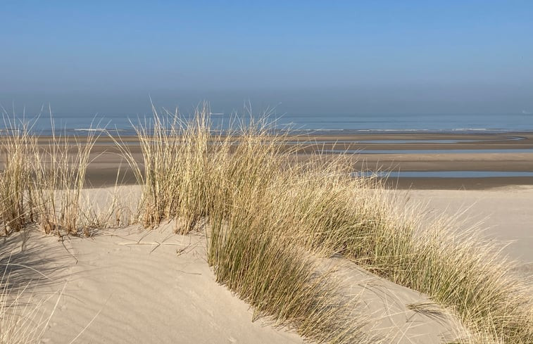 Natuurhuisje in Blankenberge