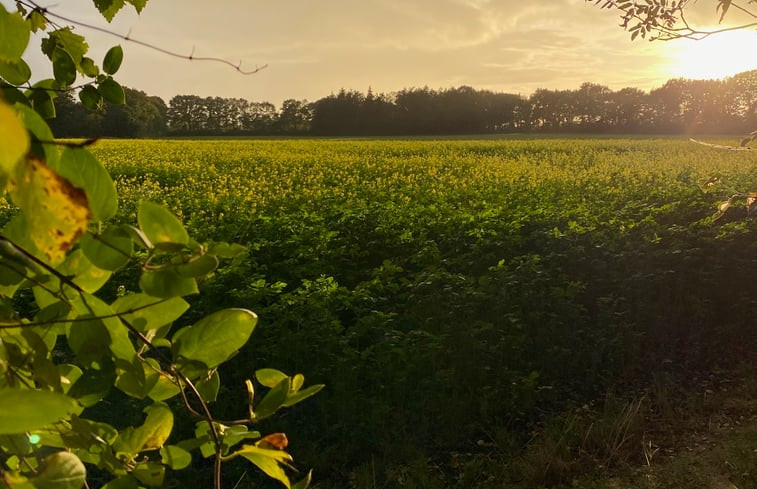 Natuurhuisje in Sustrum