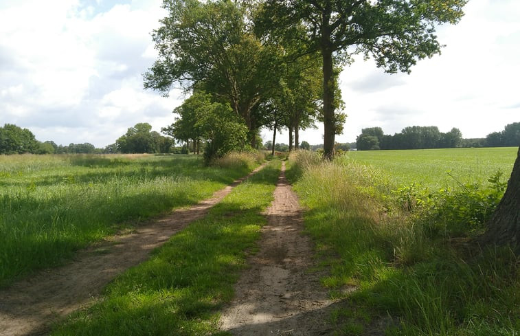 Natuurhuisje in Barchem