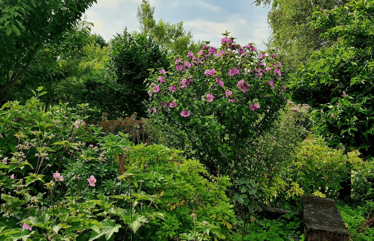 Natuurhuisje in Aulnoye-Aymeries