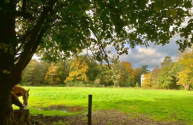 Natuurhuisje in Wezep