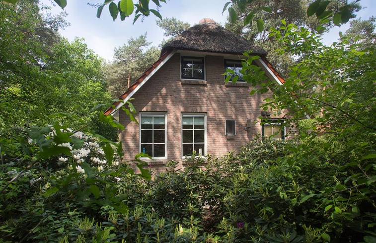 Natuurhuisje in Beerze