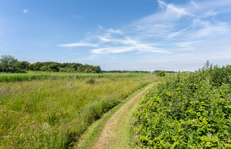 Natuurhuisje in DE COCKSDORP TEXEL